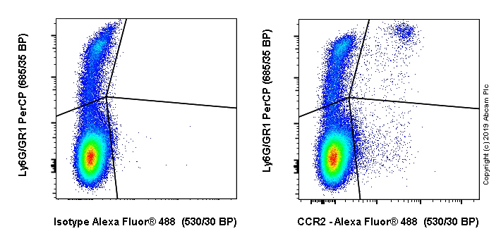 Flow Cytometry - Alexa Fluor® 488 Anti-CCR2 antibody [EPR20844] (AB245896), expandable thumbnail