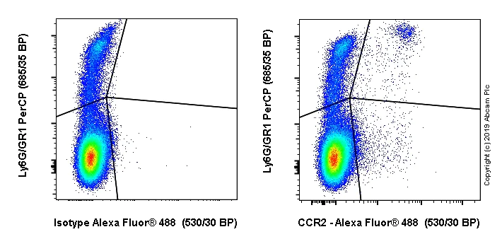 Flow Cytometry - Alexa Fluor® 488 Anti-CCR2 antibody [EPR20844] (AB245896)