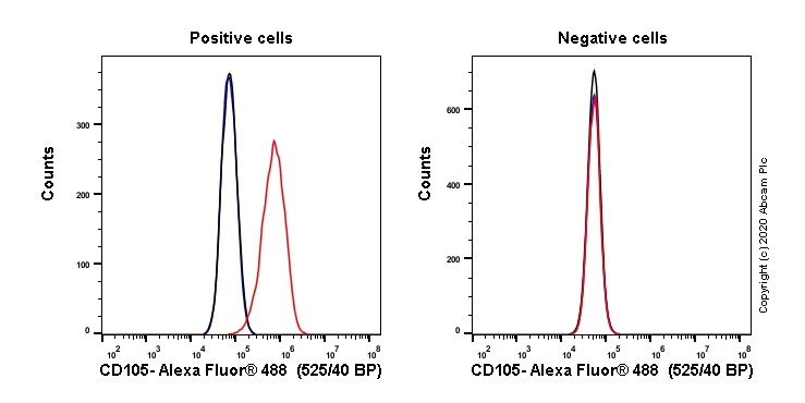 Flow Cytometry - Alexa Fluor® 488 Anti-CD105 antibody [EPR21846] (AB237388)