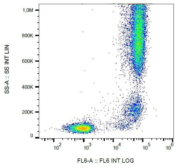 Flow Cytometry - Alexa Fluor® 488 Anti-CD13 antibody [WM15] (AB239271)