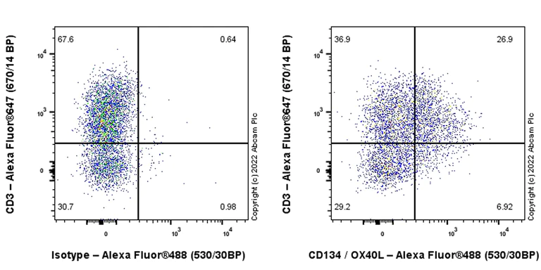 Flow Cytometry - Alexa Fluor® 488 Anti-CD134 / OX40L receptor antibody [EPR23001-88] (AB305362)