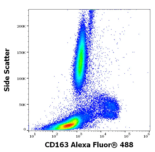 Flow Cytometry - Alexa Fluor® 488 Anti-CD163 antibody [GHI/61] (AB326533)