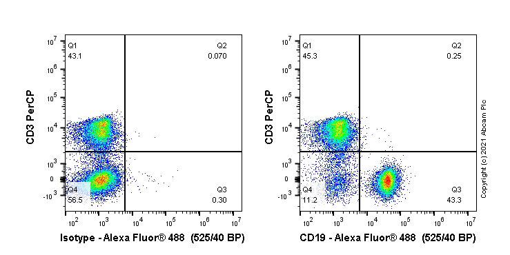 Flow Cytometry - Alexa Fluor® 488 Anti-CD19 antibody [EPR23174-145] (AB270176), expandable thumbnail