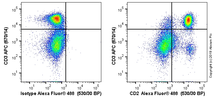 Flow Cytometry - Alexa Fluor® 488 Anti-CD2 antibody [OX34] (AB256294), expandable thumbnail