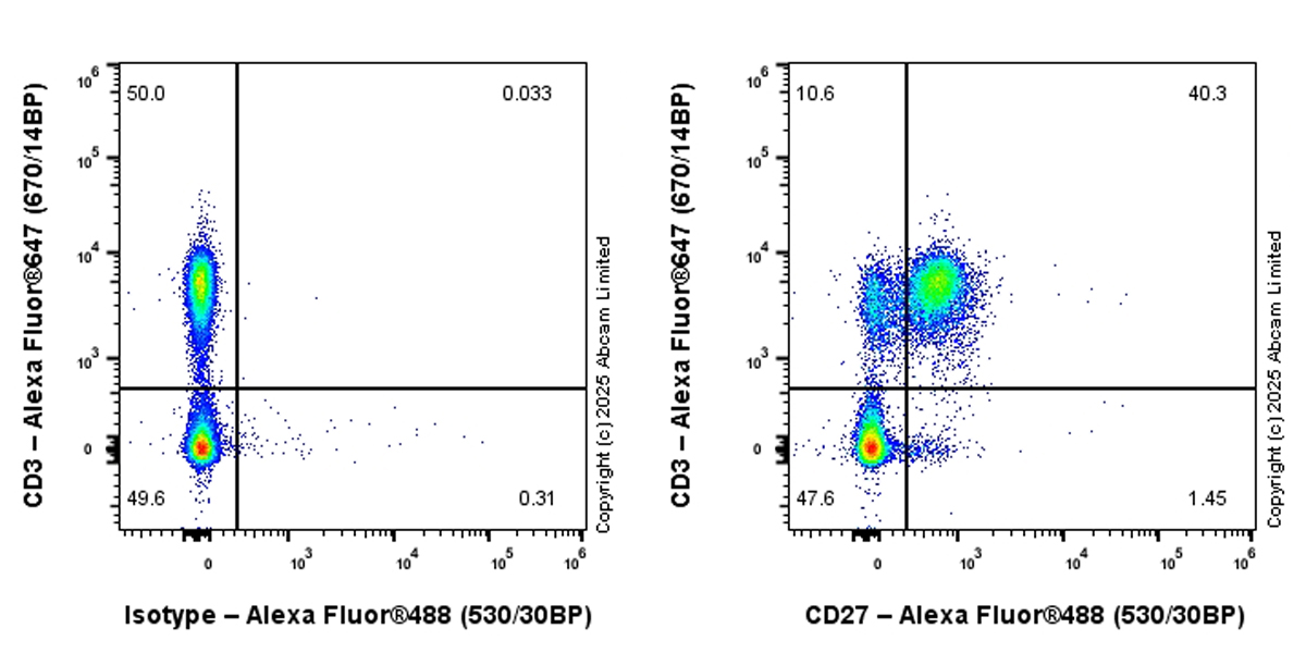 Flow Cytometry - Alexa Fluor® 488 Anti-CD27 antibody [EPR27428-9] (AB324176), expandable thumbnail