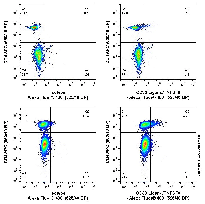 Flow Cytometry - Alexa Fluor® 488 Anti-CD30-L antibody [EPR23009-76] (AB270182)