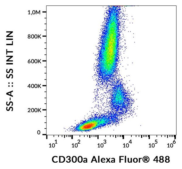 Flow Cytometry - Alexa Fluor® 488 Anti-CD300a antibody [MEM-260] (AB243077)