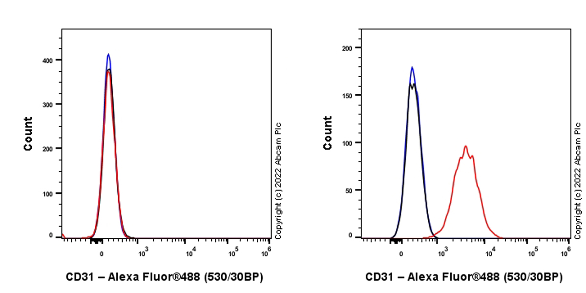 Alexa Fluor® 488 Anti-CD31 antibody [MEC 7.46] (ab307133) | Abcam