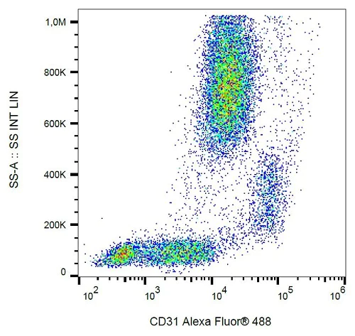 Flow Cytometry - Alexa Fluor® 488 Anti-CD31 antibody [MEM-05] (AB187594)