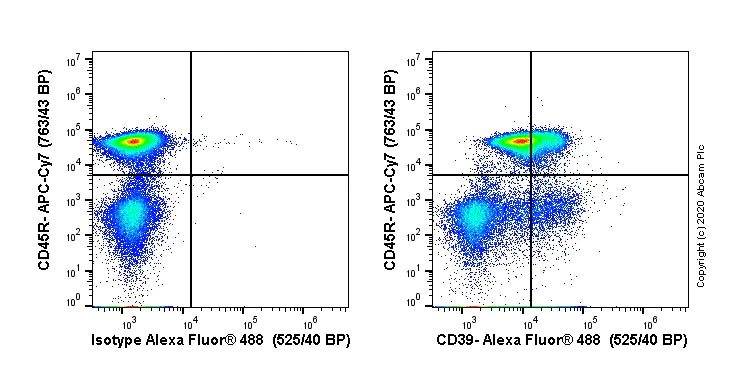 Flow Cytometry - Alexa Fluor® 488 Anti-CD39 antibody [EPR22507-48] (AB270916)