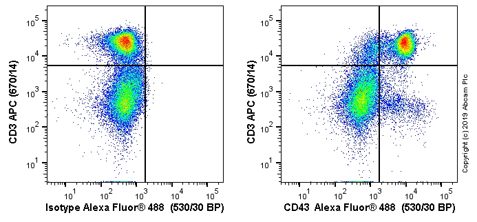 Flow Cytometry - Alexa Fluor® 488 Anti-CD43 antibody [W3/13] (AB256266), expandable thumbnail