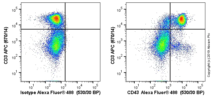 Flow Cytometry - Alexa Fluor® 488 Anti-CD43 antibody [W3/13] (AB256266)
