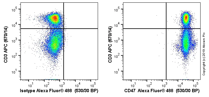 Flow Cytometry - Alexa Fluor® 488 Anti-CD47 antibody [OX-101] (AB256290)