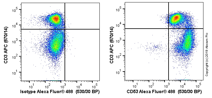Flow Cytometry - Alexa Fluor® 488 Anti-CD53 antibody [MRC OX-44] (AB256285)