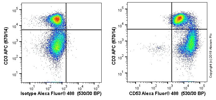 Flow Cytometry - Alexa Fluor® 488 Anti-CD53 antibody [MRC OX-44] (AB256285)