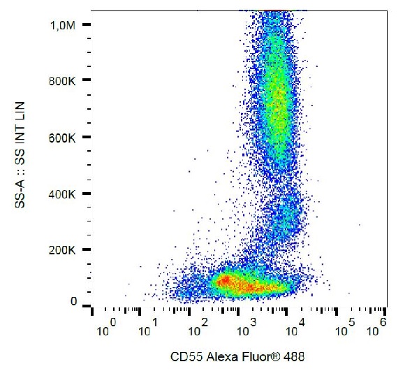 Flow Cytometry - Alexa Fluor® 488 Anti-CD55 antibody [MEM-118] (AB187775)