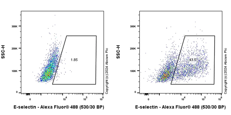 Flow Cytometry - Alexa Fluor® 488 Anti-CD62E antibody [EPR25616-62] (AB318169)