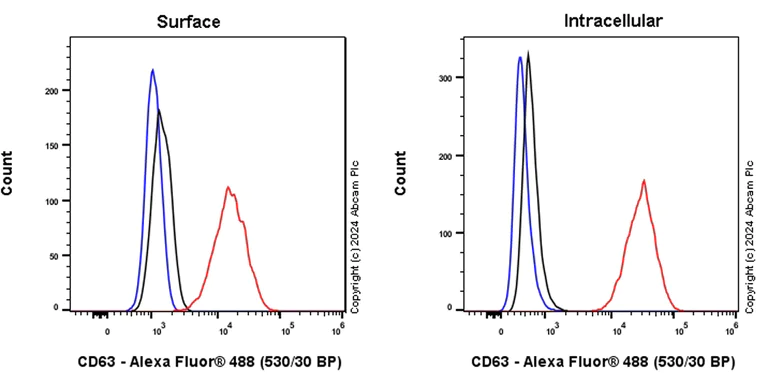 Flow Cytometry - Alexa Fluor® 488 Anti-CD63 antibody [EPR22458-280] (AB318237)