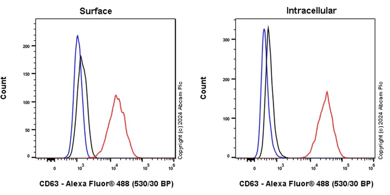 Flow Cytometry (Intracellular) - Alexa Fluor® 488 Anti-CD63 antibody [EPR22458-280] (AB318237)