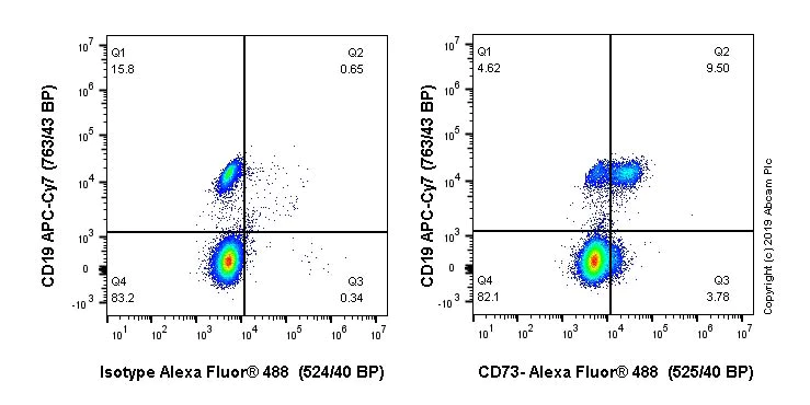 Flow Cytometry - Alexa Fluor® 488 Anti-CD73 antibody [EPR23048-139] (AB282164)