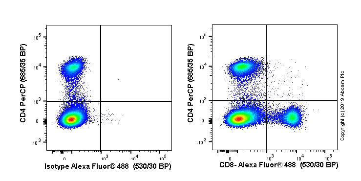 Flow Cytometry - Alexa Fluor® 488 Anti-CD8 alpha antibody [EPR21769] (AB237364), expandable thumbnail