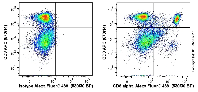 Flow Cytometry - Alexa Fluor® 488 Anti-CD8 alpha antibody [OX-8] (AB256296)