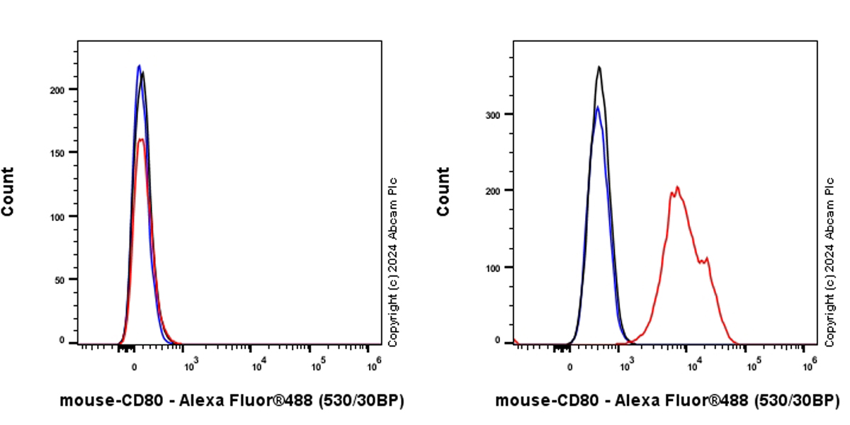 Flow Cytometry - Alexa Fluor® 488 Anti-CD80 antibody [EPR22127-251] (AB315845), expandable thumbnail