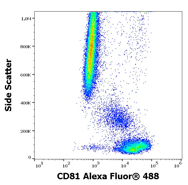 Flow Cytometry - Alexa Fluor® 488 Anti-CD81 antibody [M38] (AB326530)