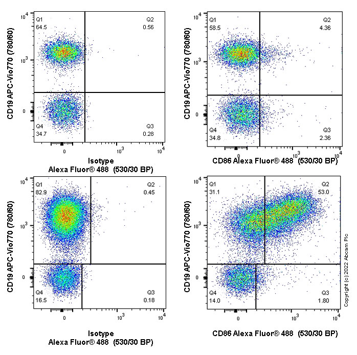 Flow Cytometry - Alexa Fluor® 488 Anti-CD86 antibody [EPR22958-106] (AB275741), expandable thumbnail
