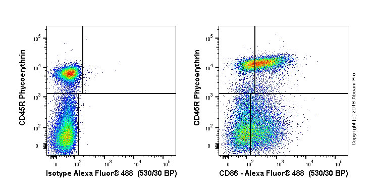 Flow Cytometry - Alexa Fluor® 488 Anti-CD86 antibody [OX48] (AB256270), expandable thumbnail