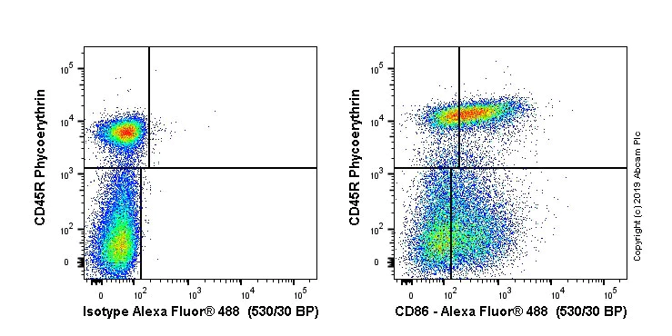 Flow Cytometry - Alexa Fluor® 488 Anti-CD86 antibody [OX48] (AB256270)