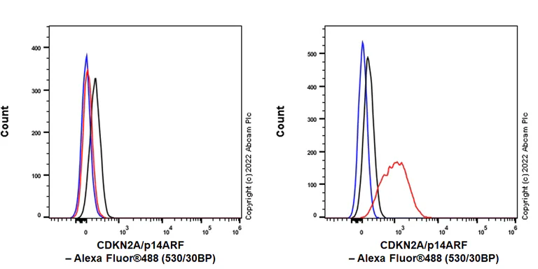 Flow Cytometry (Intracellular) - Alexa Fluor® 488 Anti-CDKN2A/p14ARF antibody [SP271] (AB305363)