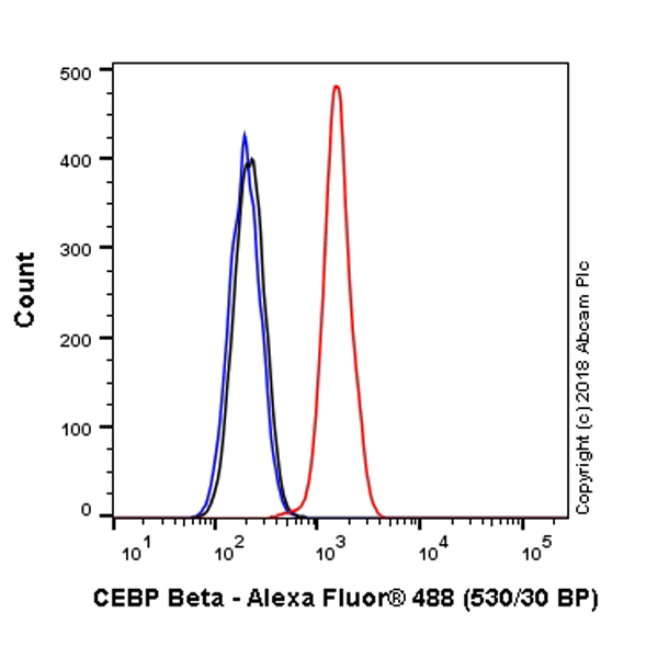 Flow Cytometry (Intracellular) - Alexa Fluor® 488 Anti-CEBP Beta antibody [E299] - C-terminal (AB237414)