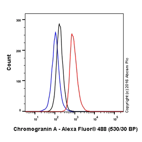 Anti-Chromogranin A Alexa Fluor® 488 antibody [EP1030Y] (ab199192