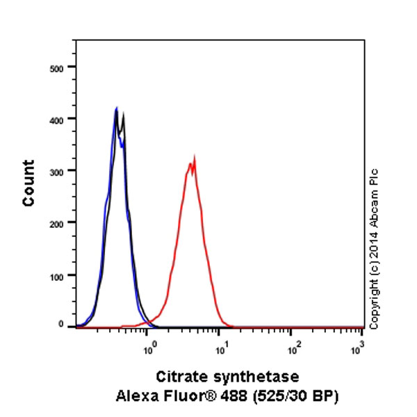 Flow Cytometry (Intracellular) - Alexa Fluor® 488 Anti-Citrate synthetase antibody [EPR8067] (AB197488), expandable thumbnail
