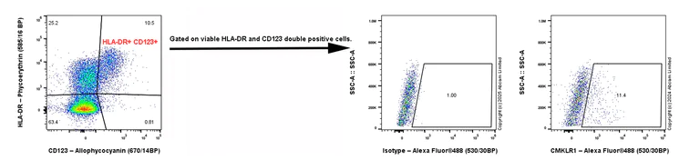 Flow Cytometry - Alexa Fluor® 488 Anti-CMKLR1 antibody [EPR26501-70] (AB323728)