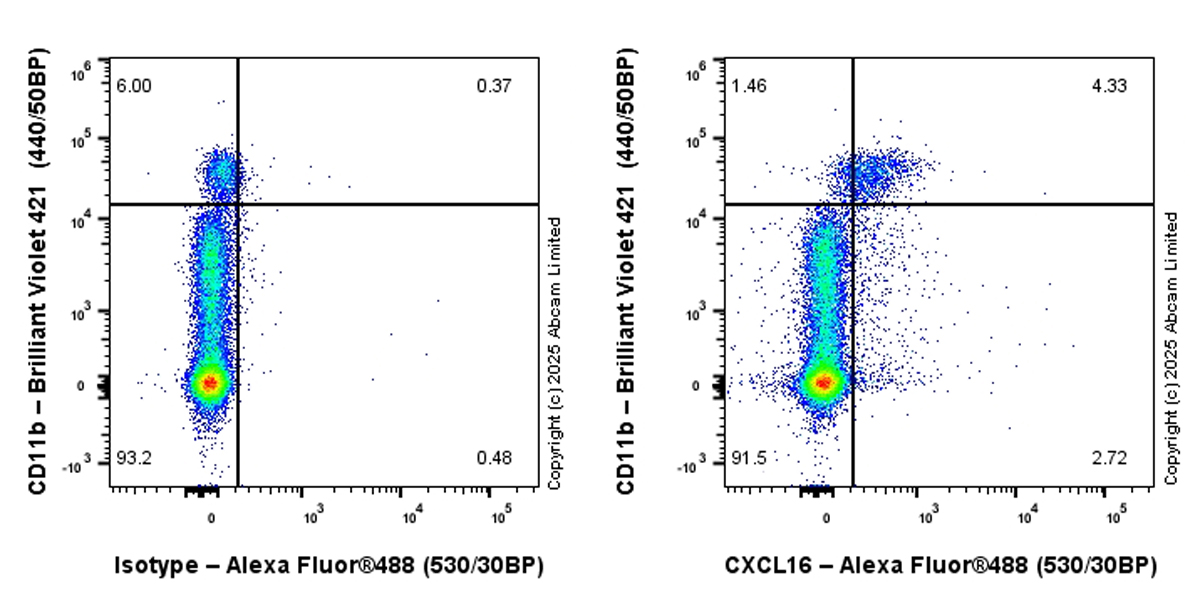 Flow Cytometry - Alexa Fluor® 488 Anti-CXCL16 antibody [EPR29713-506] (AB324075), expandable thumbnail