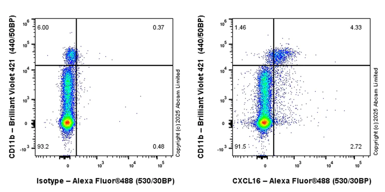 Flow Cytometry - Alexa Fluor® 488 Anti-CXCL16 antibody [EPR29713-506] (AB324075)