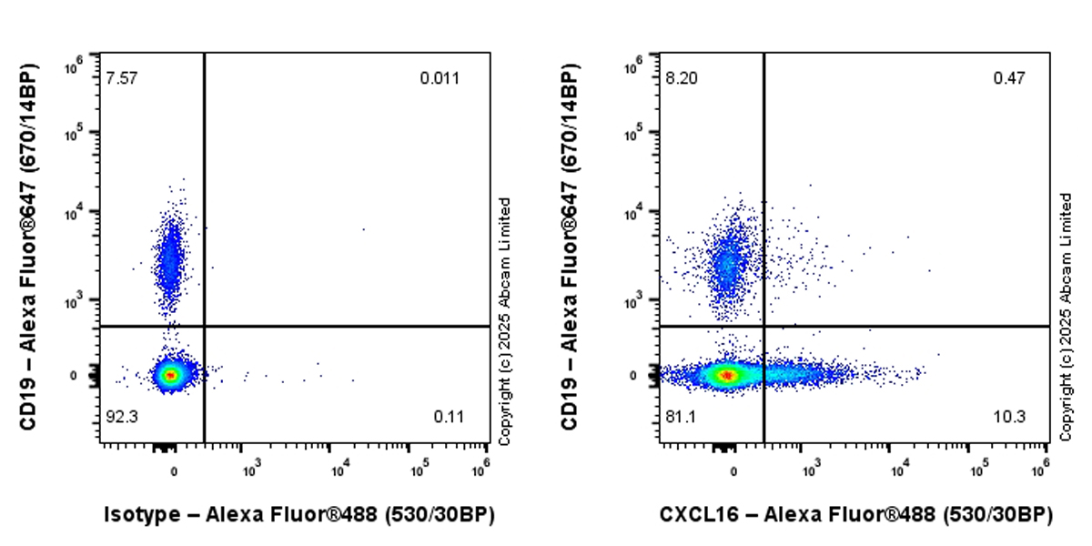 Flow Cytometry - Alexa Fluor® 488 Anti-CXCL16 antibody [EPR29713-506] (AB324075), expandable thumbnail