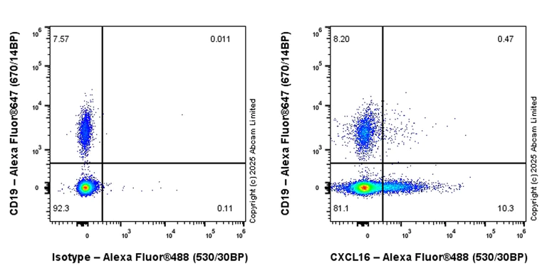Flow Cytometry - Alexa Fluor® 488 Anti-CXCL16 antibody [EPR29713-506] (AB324075)