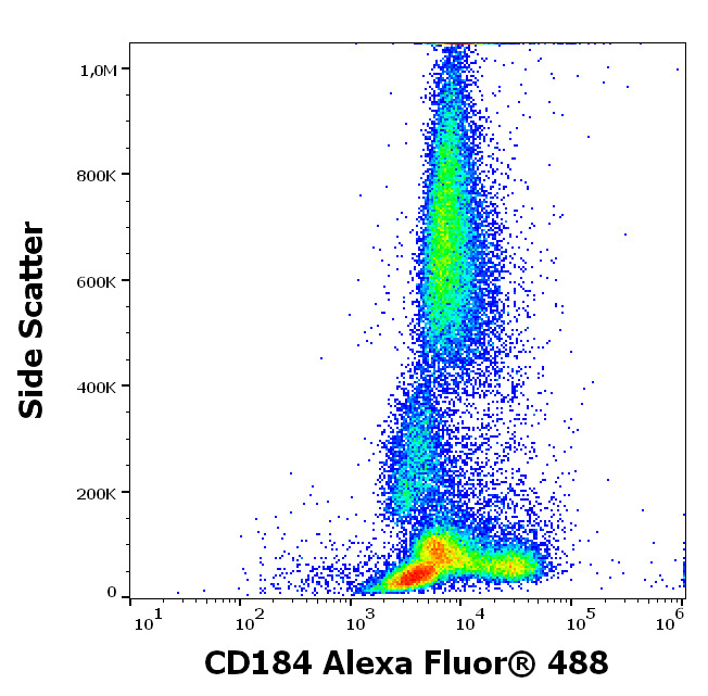 Alexa Fluor® 488 Anti-CXCR4 antibody [12G5]