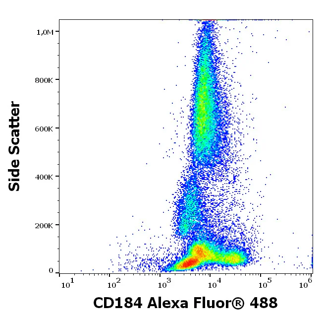 Flow Cytometry - Alexa Fluor® 488 Anti-CXCR4 antibody [12G5] (AB326528)