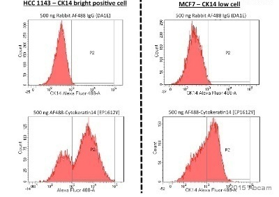 Flow Cytometry (Intracellular) - Alexa Fluor® 488 Anti-Cytokeratin 14 antibody [EP1612Y] (AB192055), expandable thumbnail