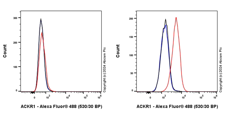 Flow Cytometry - Alexa Fluor® 488 Anti-DARC antibody [EPR26544-110] (AB318171)