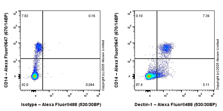 Flow Cytometry - Alexa Fluor® 488 Anti-Dectin-1 antibody [EPR28032-27] (AB324157)