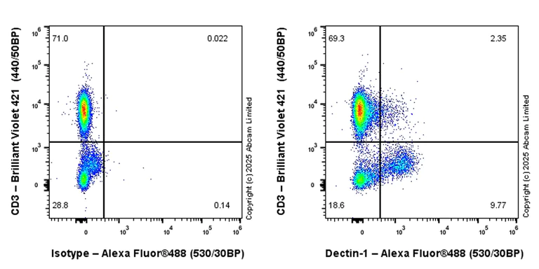 Flow Cytometry - Alexa Fluor® 488 Anti-Dectin-1 antibody [EPR28032-27] (AB324157)