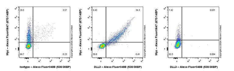 Flow Cytometry (Intracellular) - Alexa Fluor® 488 Anti-DLL3 antibody [EPR22592-18] (AB309688)