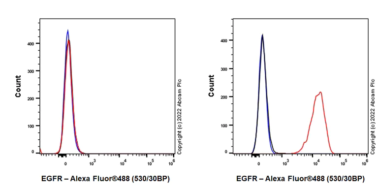 Flow Cytometry - Alexa Fluor® 488 Anti-EGFR antibody [EMab-134] (AB307135)