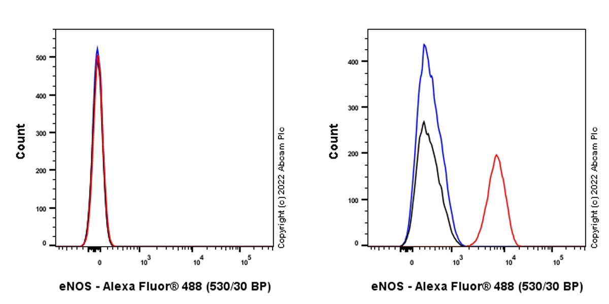 Flow Cytometry (Intracellular) - Alexa Fluor® 488 Anti-eNOS antibody [EPR23750-3] (AB300755)
