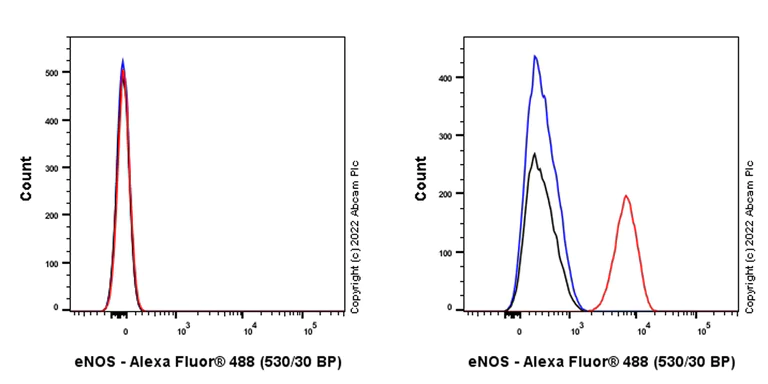 Flow Cytometry (Intracellular) - Alexa Fluor® 488 Anti-eNOS antibody [EPR23750-3] (AB300755)